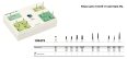 Боры алмазные для пломб (набор 10шт) D+Z / 100473